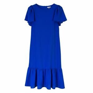 NWT DKNY Blue Shift Dress Flutter Sleeve Size 8 Spring Polished Casual Feminine
